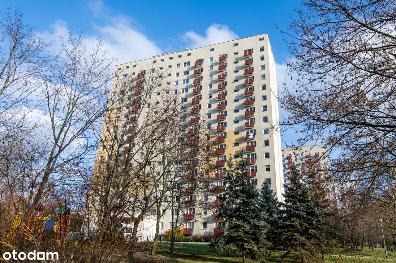 Komfortowa kawalerka na Winogradach z winda-12