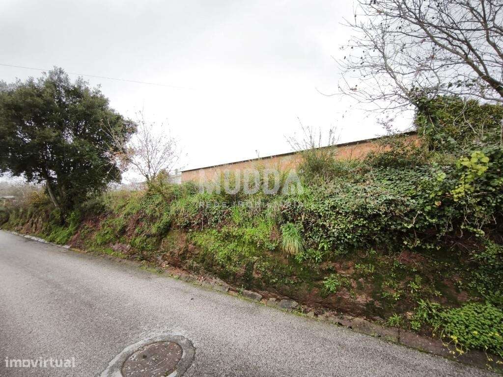 Terreno rústico com excelente potencial construtivo em Frossos – Alber - Grande imagem: 3/6