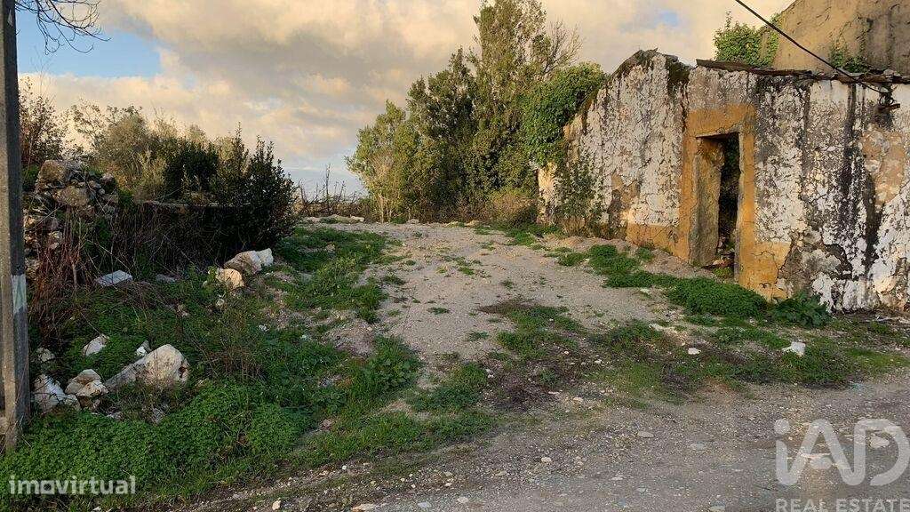 Terreno Agrícola em Pombal - Grande imagem: 5/28