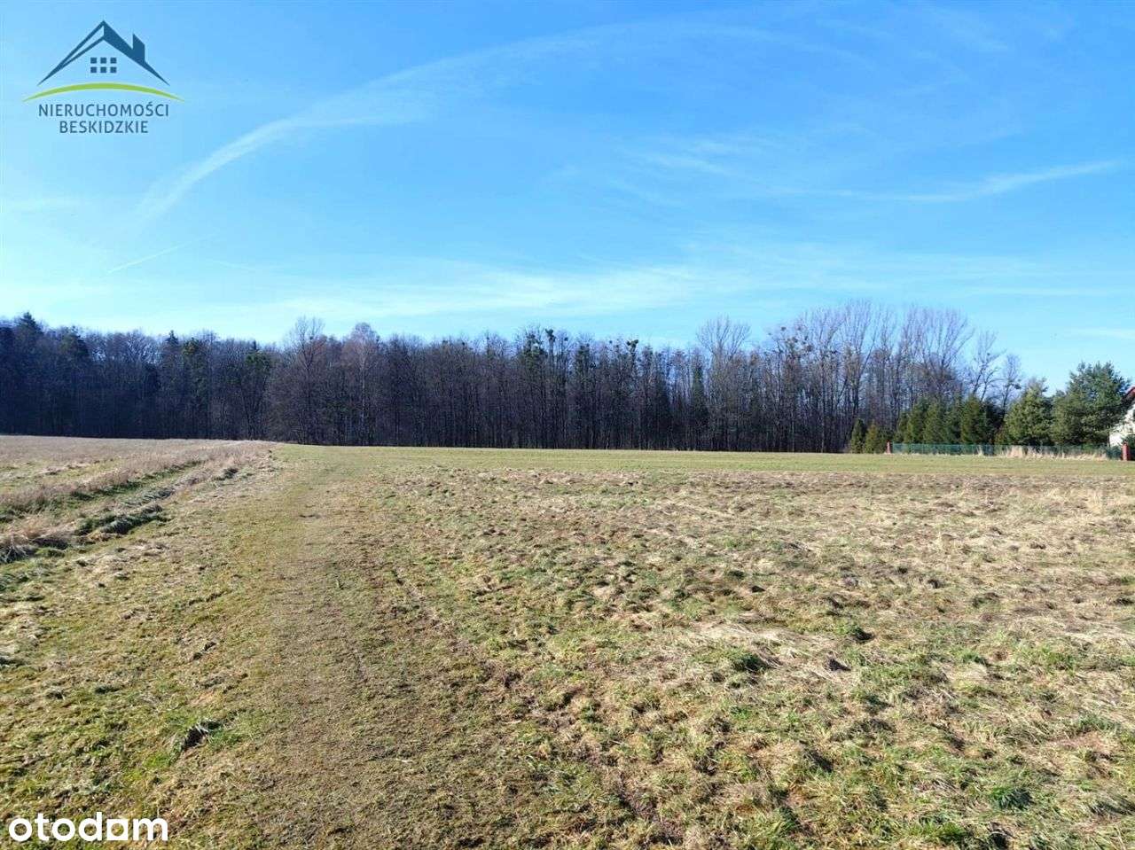 Cisownica k/Ustronia ... a wokół pola i las...-1