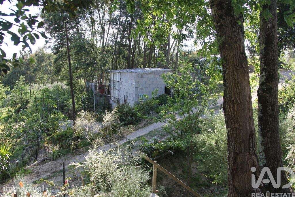 Terreno Agrícola em Oliveira do Hospital e São Paio de Gramaços-20