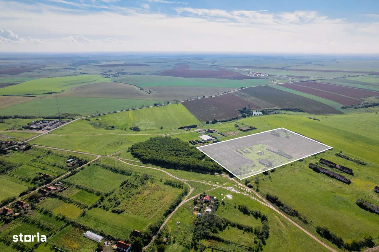 Teren de 69188 mp în Seceani - Imagine principală: 2/5