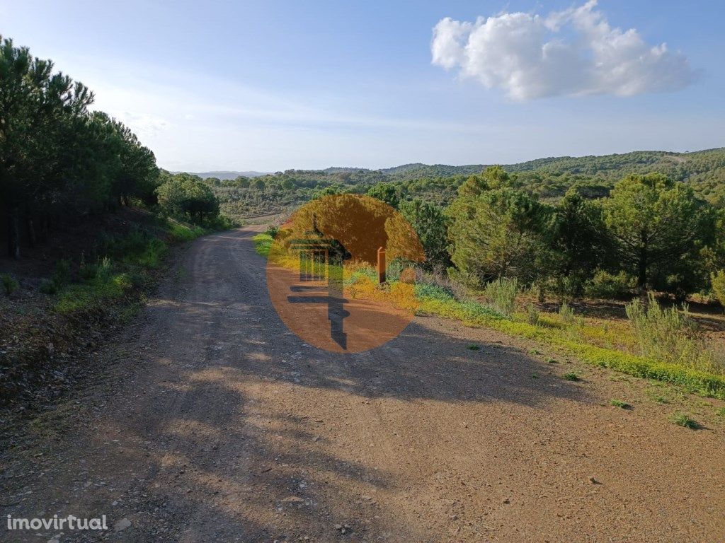 TERRENO COM 42.480 M2 - POSSIBILIDADE DE CONSTRUIR ARMAZE...