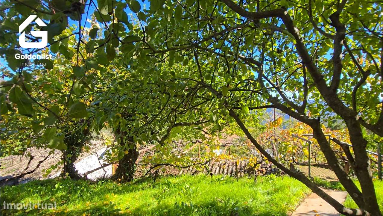 Moradia T6 Venda em Aldeia de São Francisco de Assis,Covilhã-41