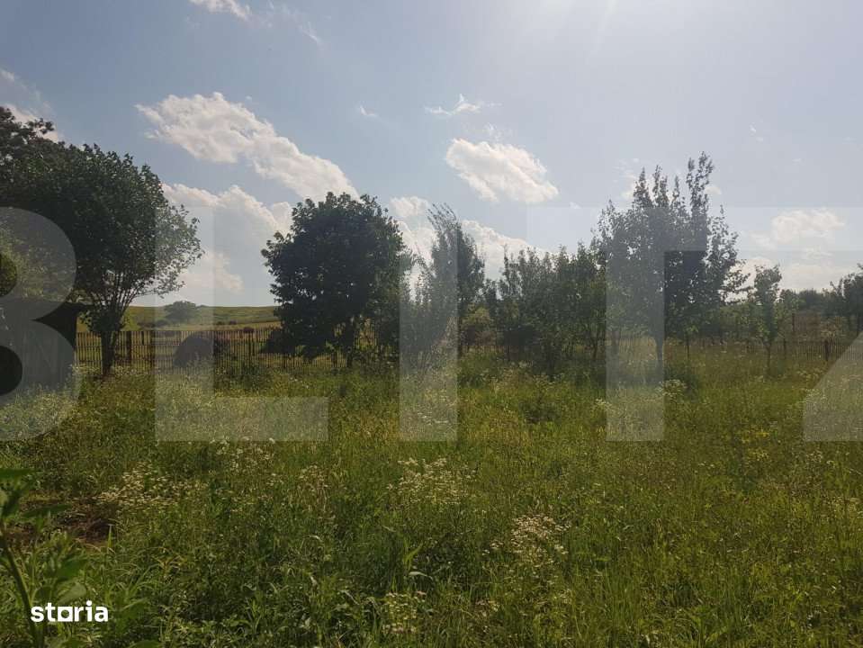 Teren intravilan Campenesti, 11600 mp, 43 ml front, pentru ansamblu de - Imagine principală: 3/3