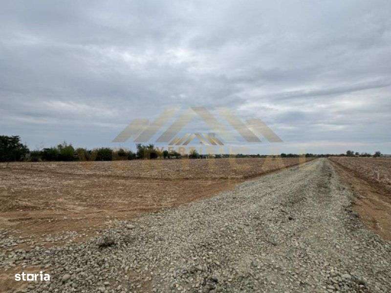 Teren Intravilan 500 mp, Vidra, ideal investitie - Imagine principală: 2/5