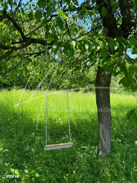 Teren intravilan 1740 mp. cu casa intabulata in PH-PROVITA DE SUS-4