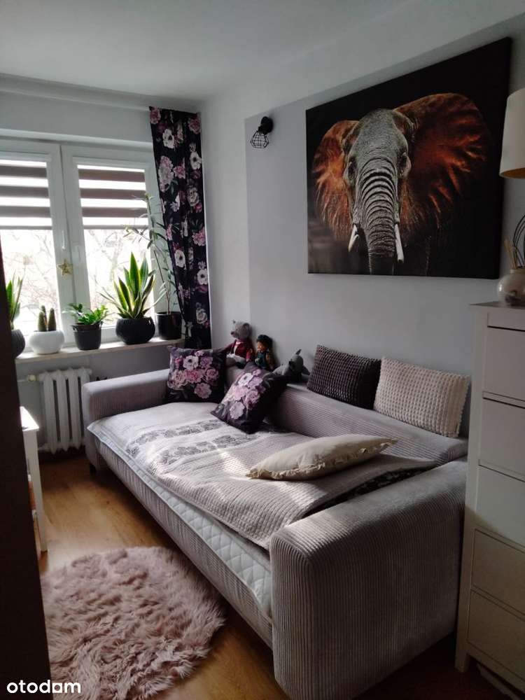 Mieszkanie 2 pokojowe - Pełny obrazek: 5/8