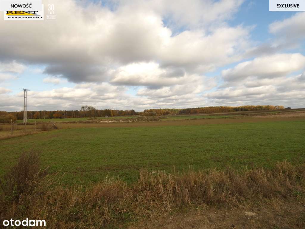 Działka budowlana pod Goleniowem - Pełny obrazek: 4/9