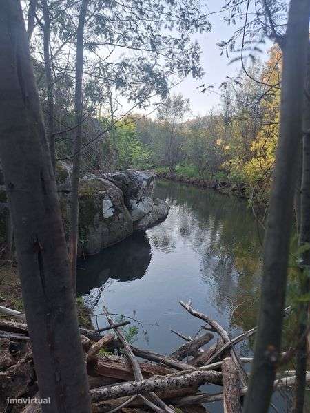 Terreno em Oliveira do Hospital 7800m²  beira rio. - Grande imagem: 4/5
