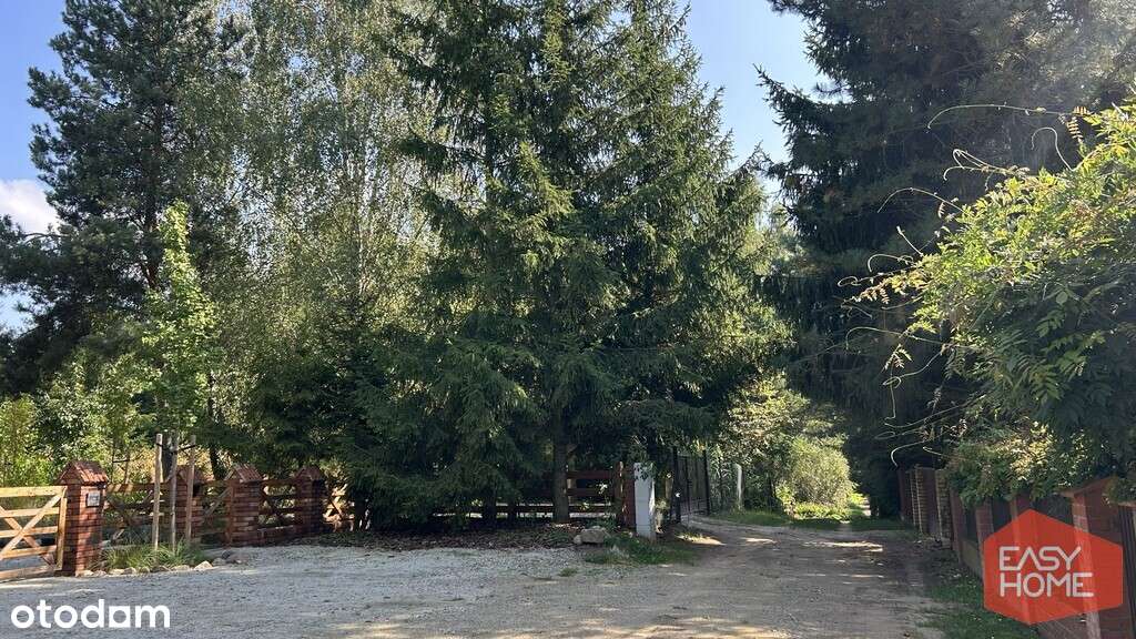 Cudowne miejsce w pobliżu jeziora i lasu-12