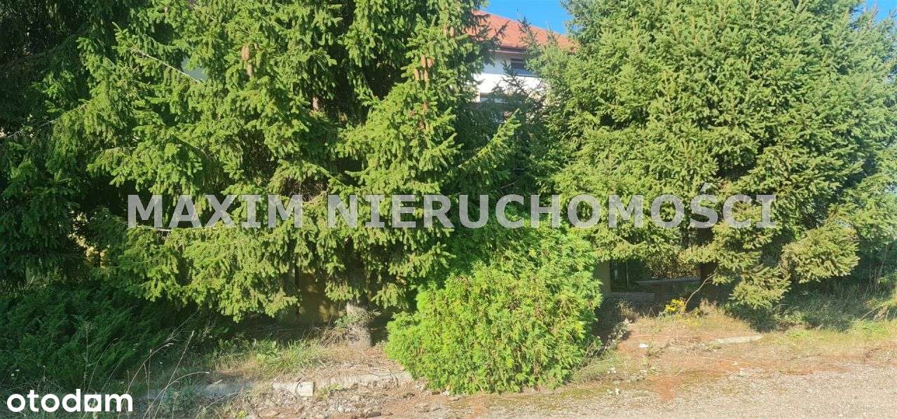 Działka pod inwestycje w Cempkowie-6