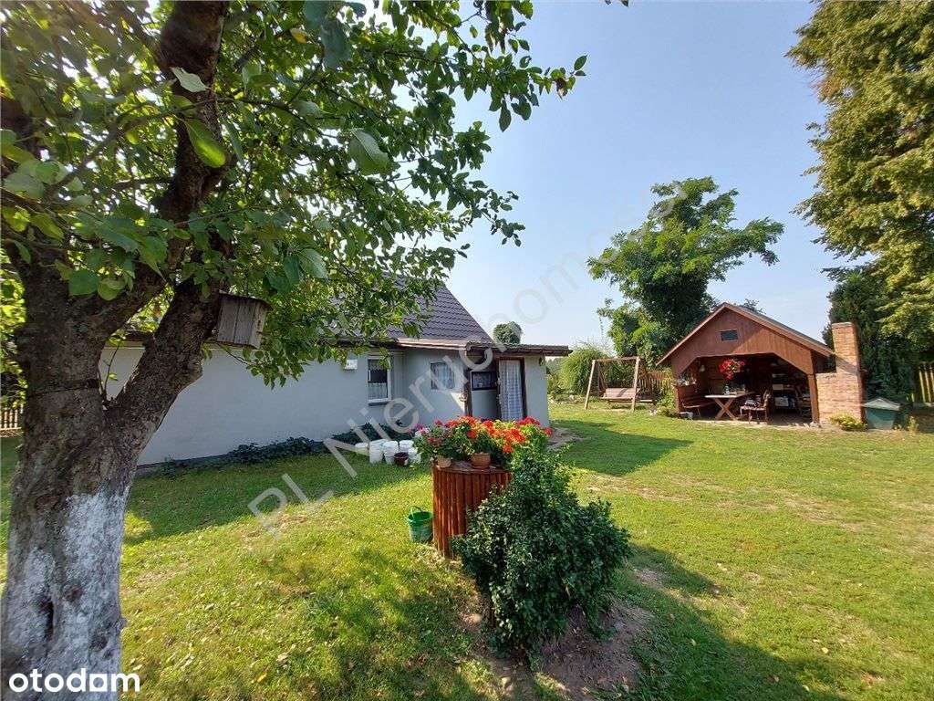 Siedlisko Jak Z Bajki, Miejskie Media, Komunikacja-1