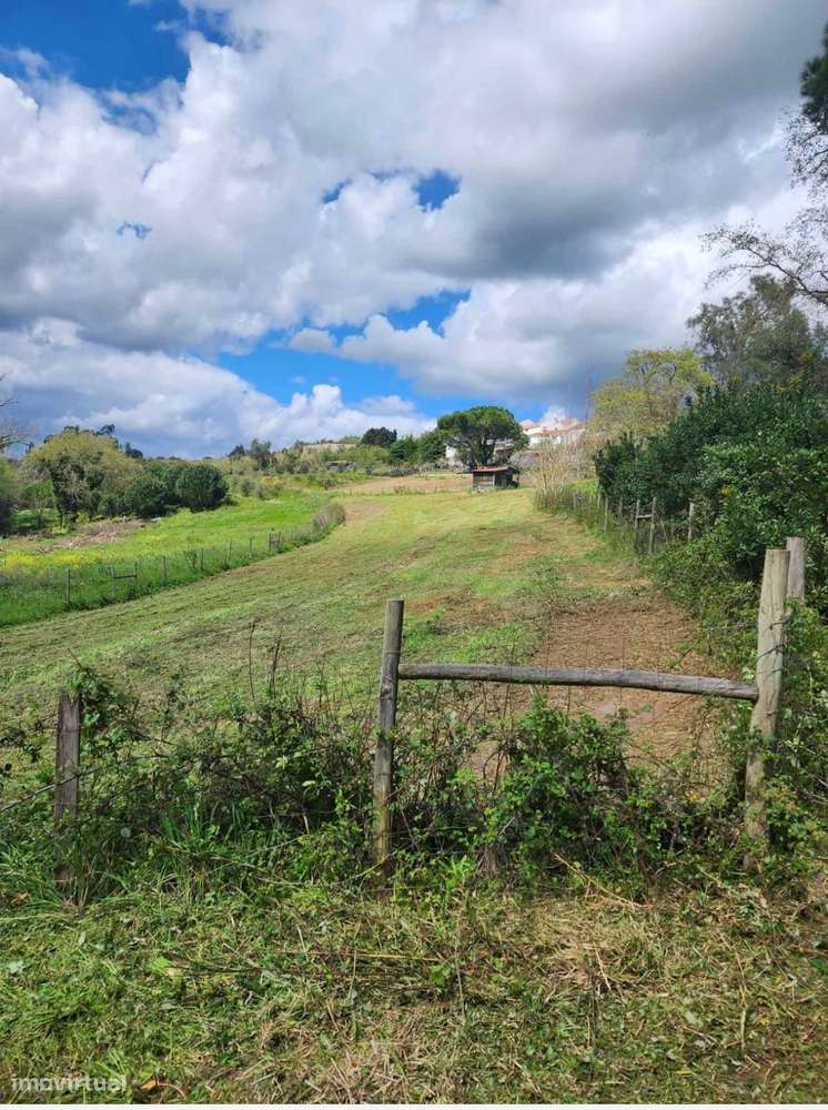 Terreno Rústico - Grande imagem: 4/4