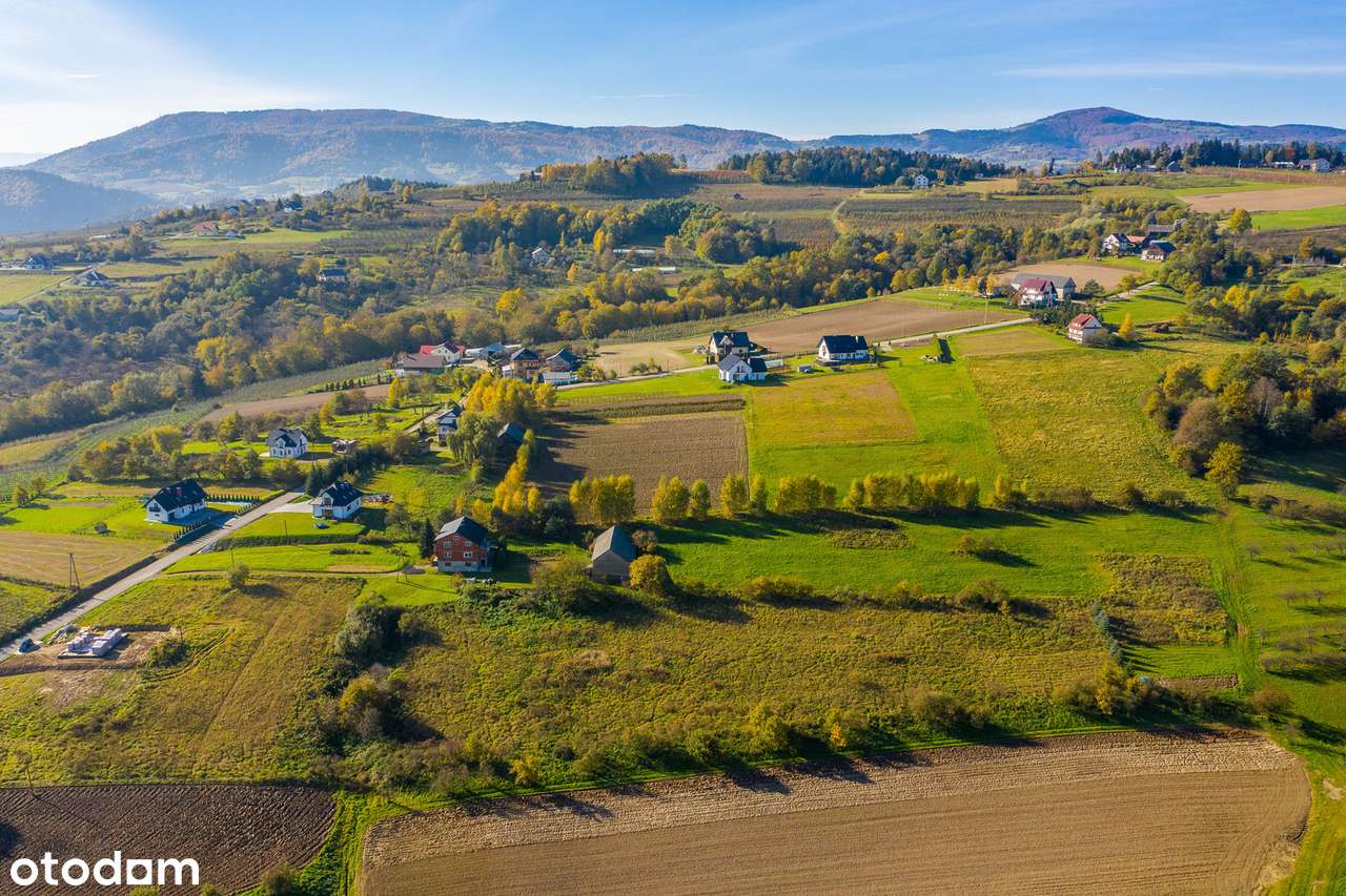 Widokowa działka 29 ar z pozwoleniem | Łososina Dolna - Pełny obrazek: 4/6