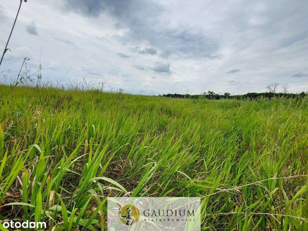 Turystyka nad brzegiem rzeki Obry-17