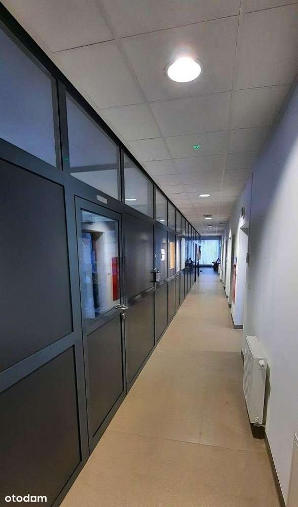 Biuro lokal użytkowy w biurowcu ul. Pionierów 8 - Pełny obrazek: 4/6