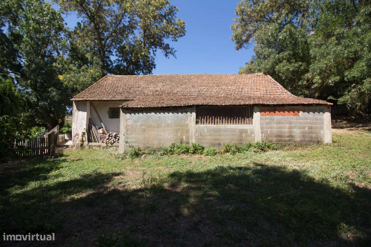 Barracão para venda em Alenquer quinta da Brojana - Grande imagem: 5/10