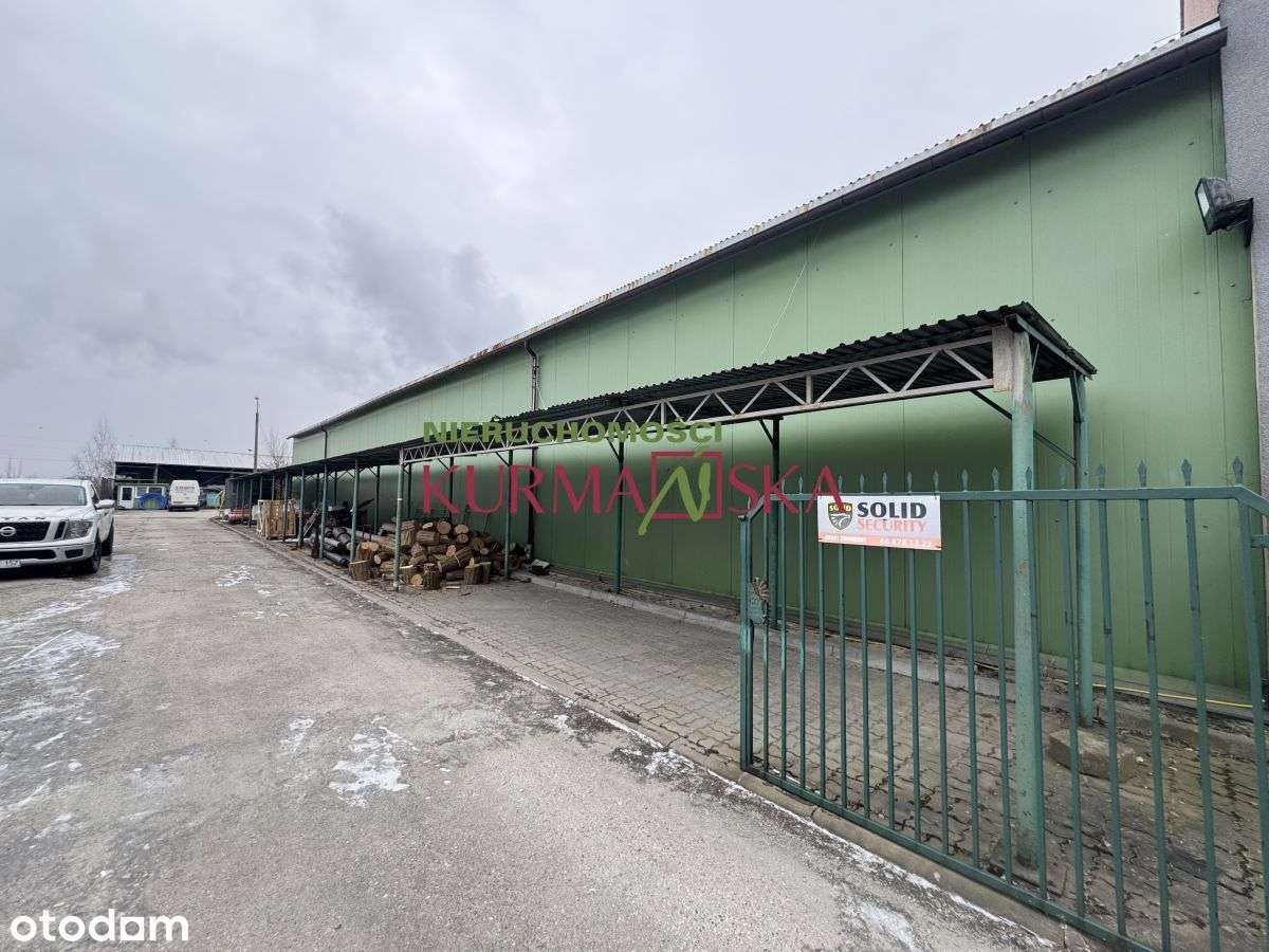 Budynek biurowo - usługowy oraz hala magazynowa - Pełny obrazek: 3/15