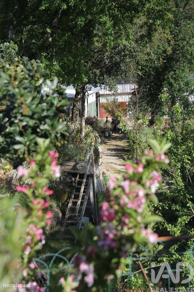 Terreno Agrícola em Oliveira do Hospital e São Paio de Gramaços-18