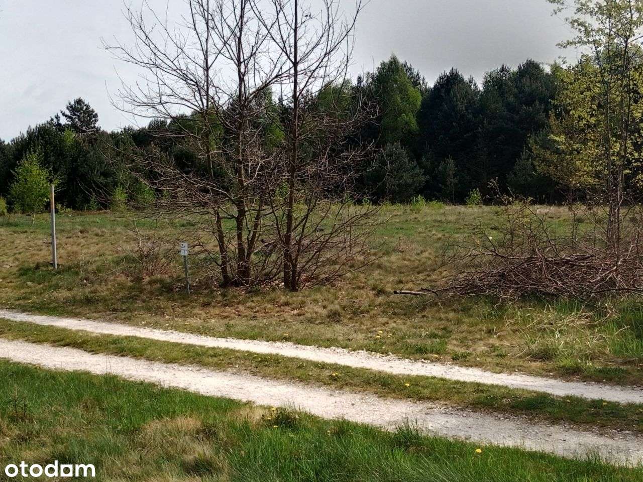 Sprzedam działkę budowlaną przy Lesie - Pełny obrazek: 3/7