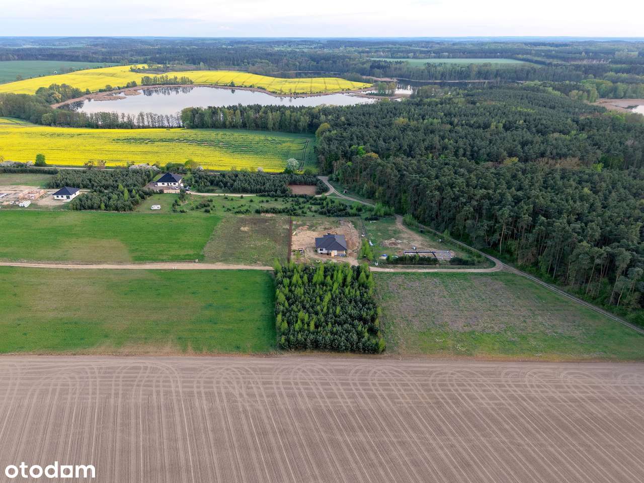 Zamieszkaj wśród drzew i jezior – 3233 m² ciszy dz. budowlana-5