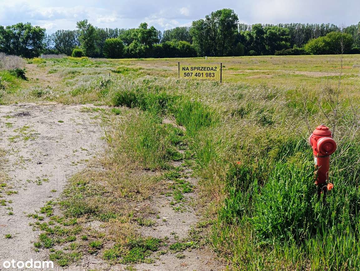 Głuchowo gmina Czempiń działka z warunkami zabudowy-5