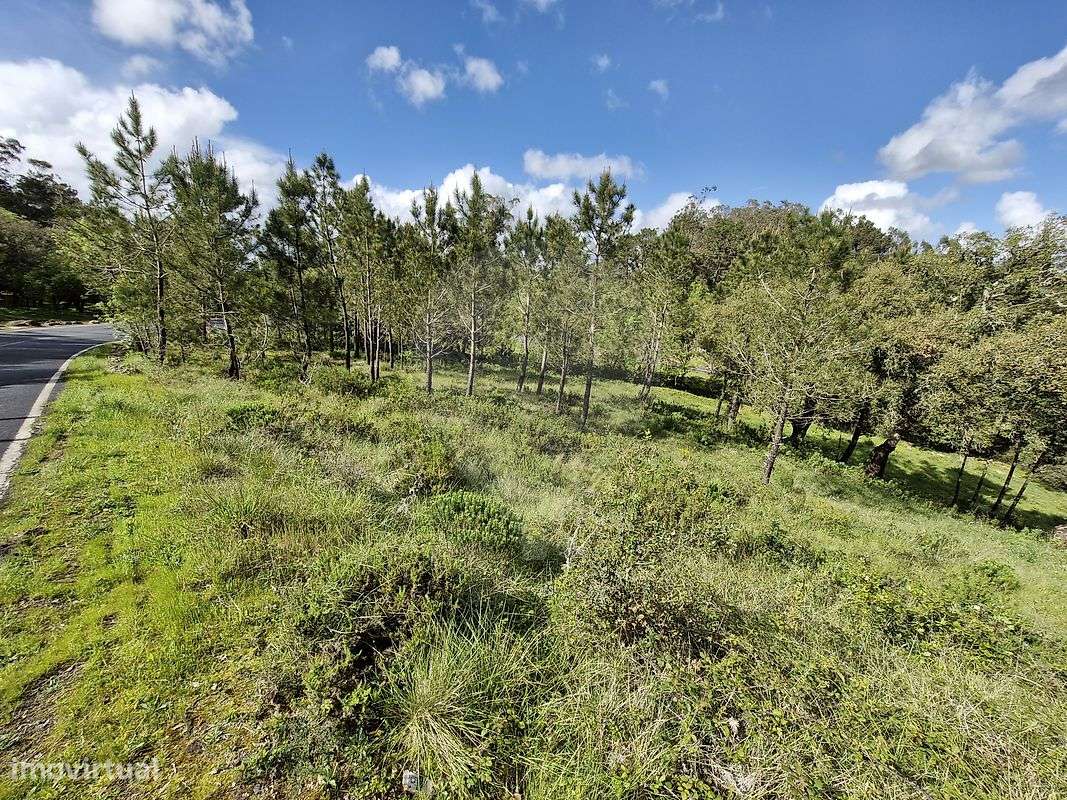 Terreno  para venda - Grande imagem: 4/20