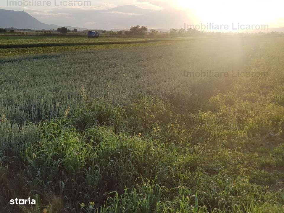 Teren Stupini Calea Feldioarei 4600 mp,21 euro/mp, front la asfalt-2