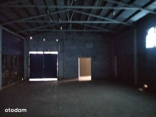 BEZPOŚREDNIO, magazyn o pow. 394 m² - Pełny obrazek: 5/9