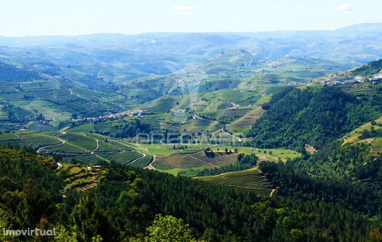 Terreno Agrícola a 9 Kms de Vila Real