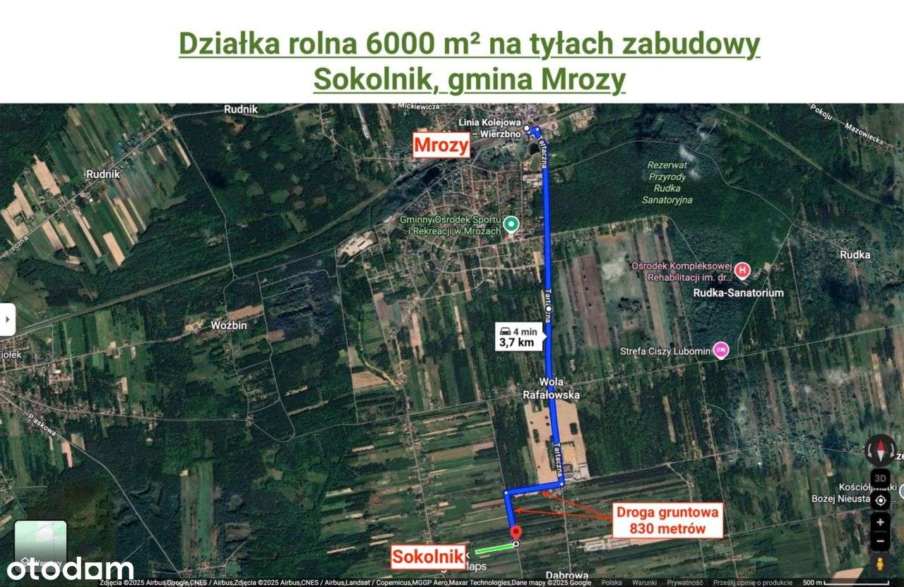 Działka rolna 6000 m², Sokolnik, gm. Mrozy - Pełny obrazek: 4/11