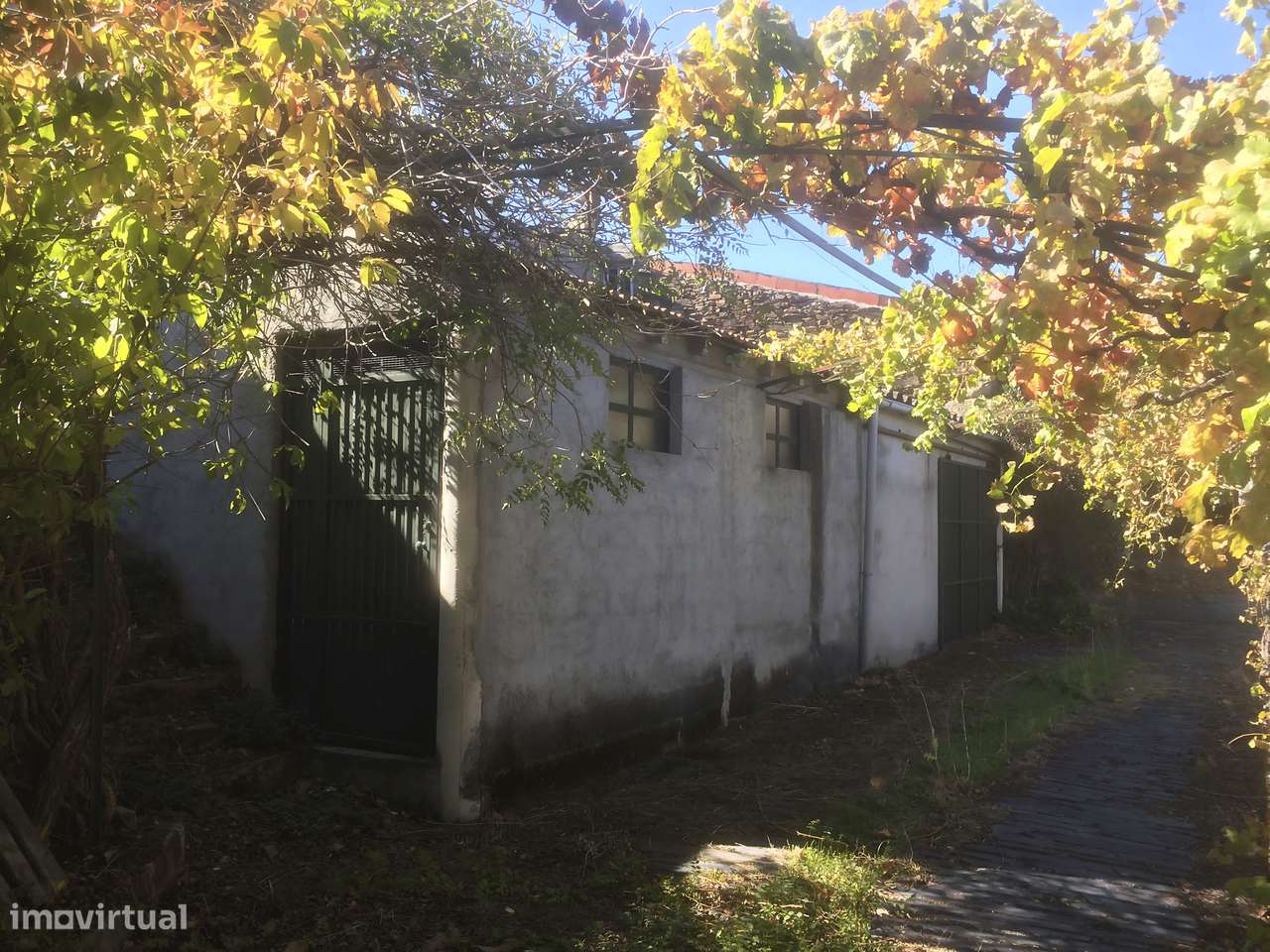 Quinta em Vila Nova de Foz Côa - Grande imagem: 5/9