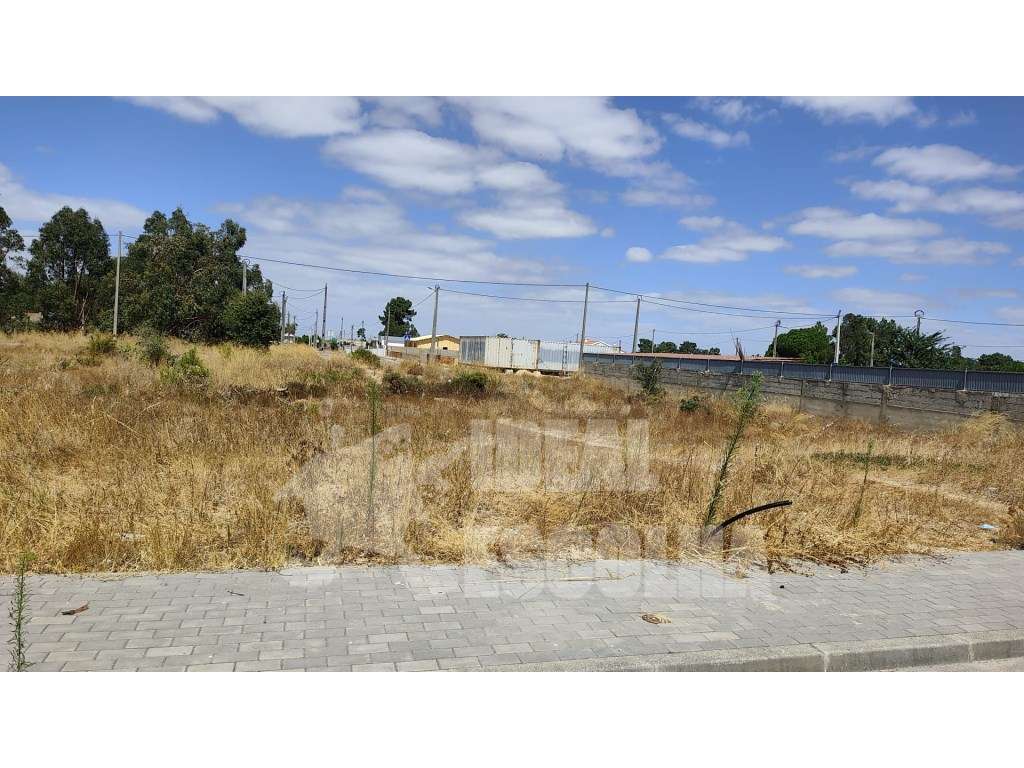 TERRENO PARA CONSTRUÇÃO 150 000€ 
PALMELA / QUINTA DO ANJO - Grande imagem: 3/8
