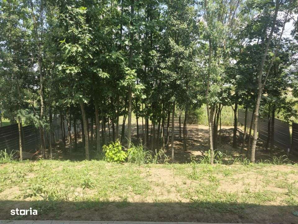 VILA de inchiriat - Paradisul  Verde - Imagine principală: 5/6