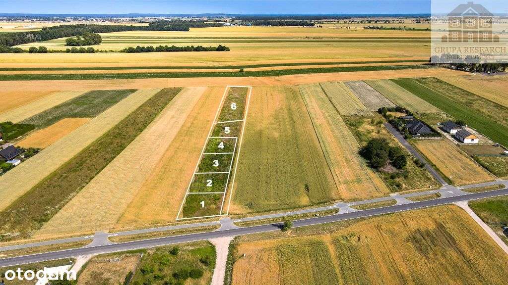 Dla Dewelopera z Mpzt - Pełny obrazek: 4/20