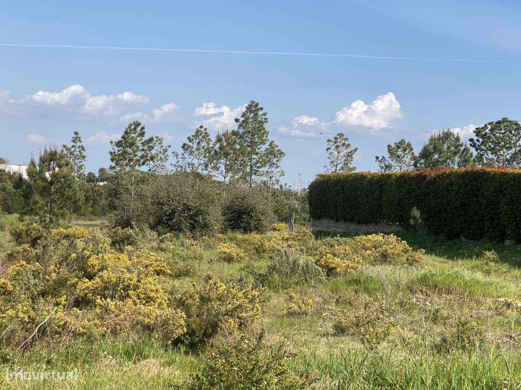 Terreno urbanizável para 6 lotes em Aires - 15.000 m2-17