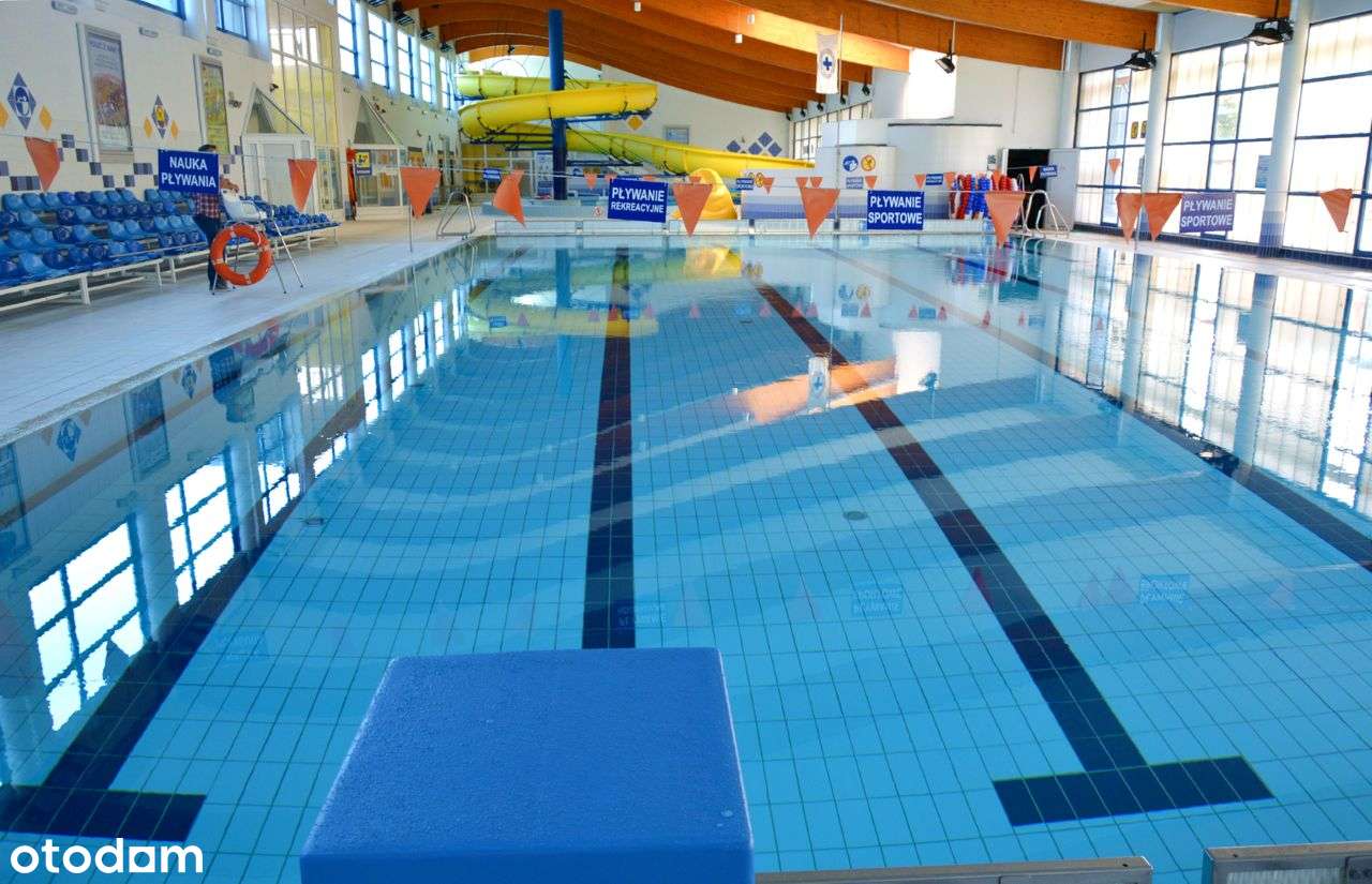 Działka budowlana Kąty, bezpośrednio 900 m2 - Pełny obrazek: 5/6