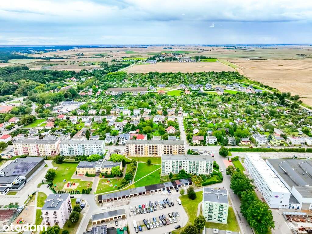 Jeśli w twoich żyłach płynie królewska krew ...-17