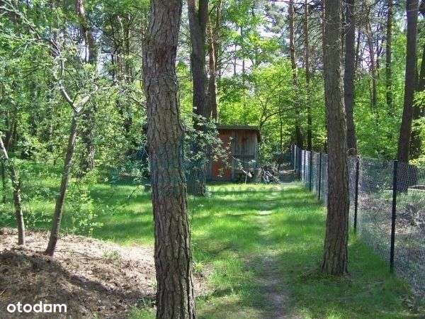 Przepiękna działka przy ul. Grzybowej - Pełny obrazek: 5/6