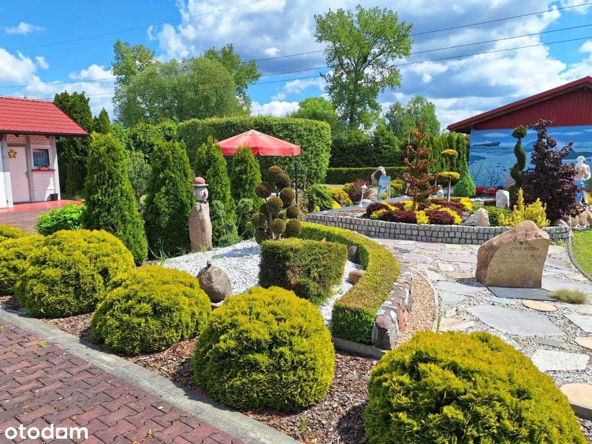 Działka budowlana Sośnie - Pełny obrazek: 5/13