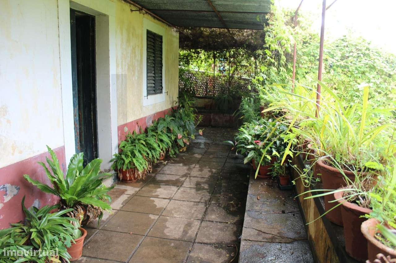 Terreno em Amparo – São Martinho - Excelente Oportunidade - Grande imagem: 5/17