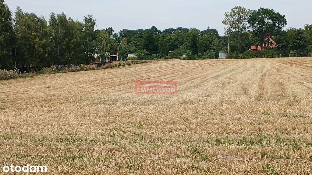 Widokowa, budowlana 1200 m2- Minoga ( gm. Skała) - Pełny obrazek: 4/6