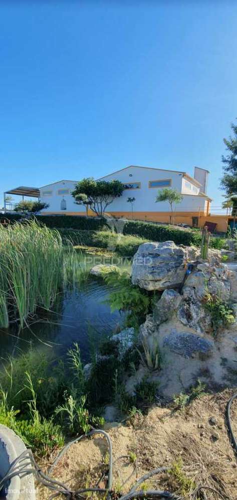 QUINTA com FÁBRICA DE GIN  e CERVEJA ARTESANAL - Grande imagem: 3/32