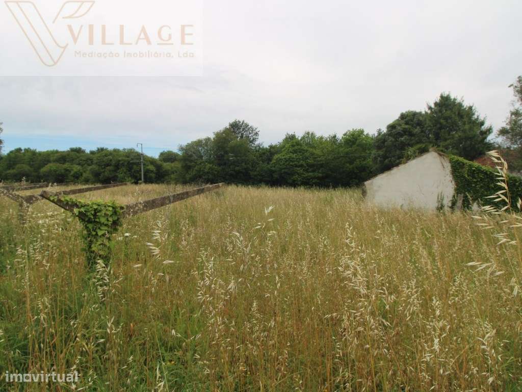 Terreno - Grande imagem: 4/8