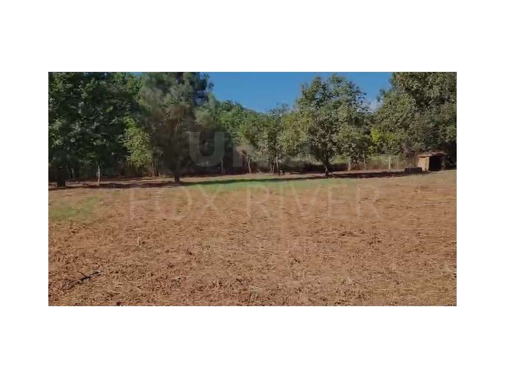 Terreno rústico na Silva, Valença - Grande imagem: 4/4