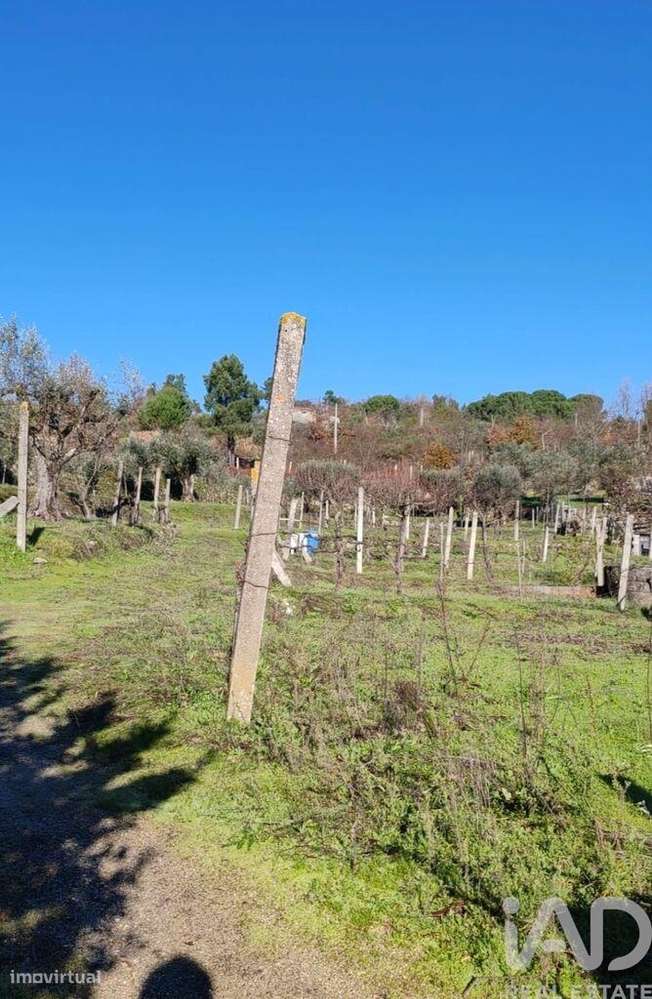 Terreno em Oliveira do Hospital e São Paio de Gramaços - Grande imagem: 2/6