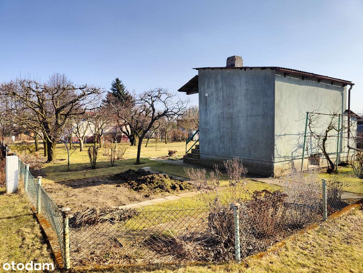 Sprzedam działkę z altaną na ROD Wyspiańskiego w Koninie-11