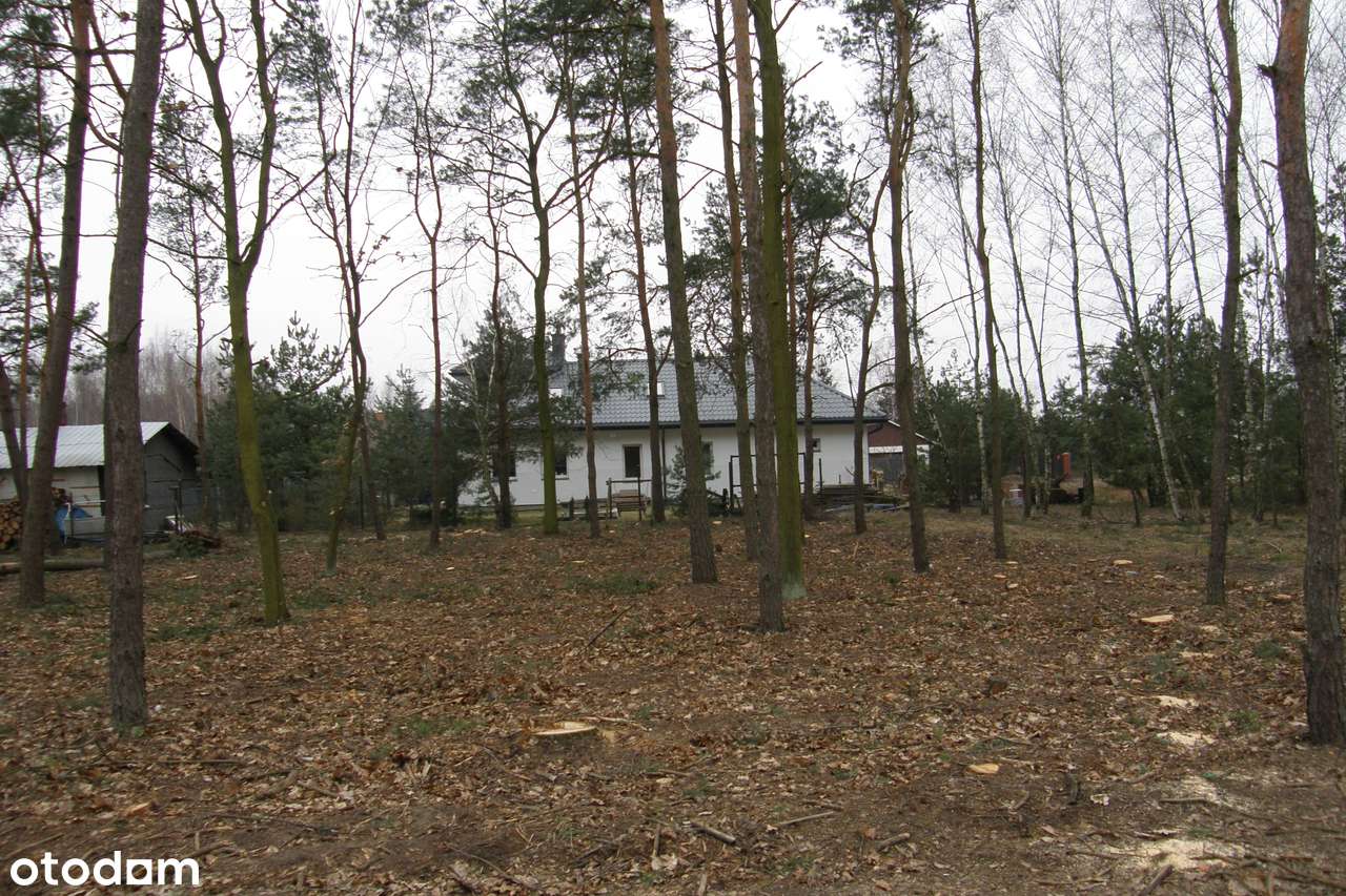 Działka Leśna w pięknej okolicy blisko Warszawy - Pełny obrazek: 5/6
