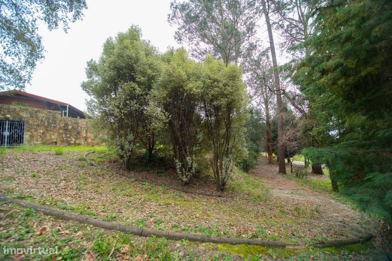 Quinta para venda em Oliveira de Azeméis-58